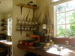 Cliquez pour agrandir l'image