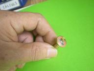 Cliquez pour agrandir l'image